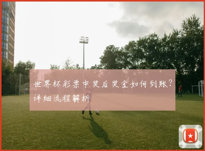 世界杯彩票中奖后奖金如何到账？详细流程解析