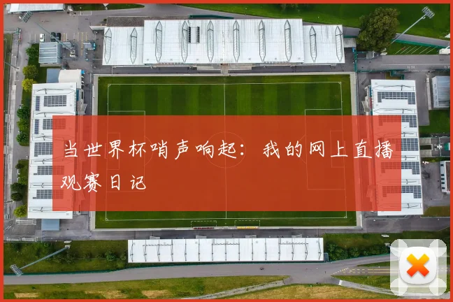 当世界杯哨声响起：我的网上直播观赛日记