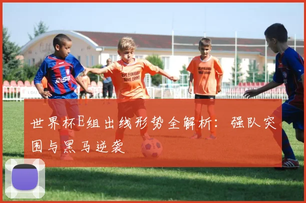 世界杯E组出线形势全解析：强队突围与黑马逆袭