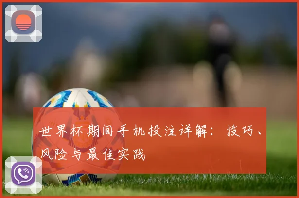世界杯期间手机投注详解：技巧、风险与最佳实践
