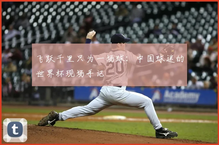 飞跃千里只为一场球：中国球迷的世界杯现场手记