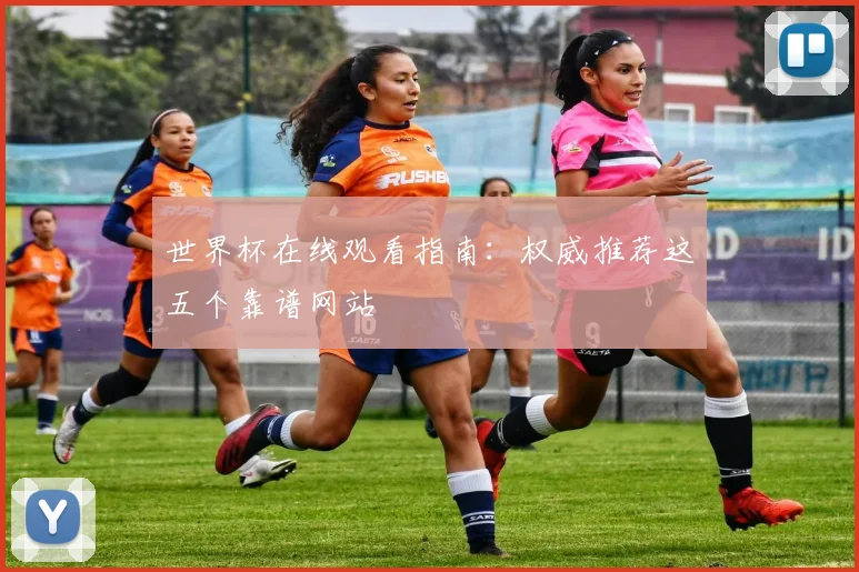 世界杯在线观看指南：权威推荐这五个靠谱网站