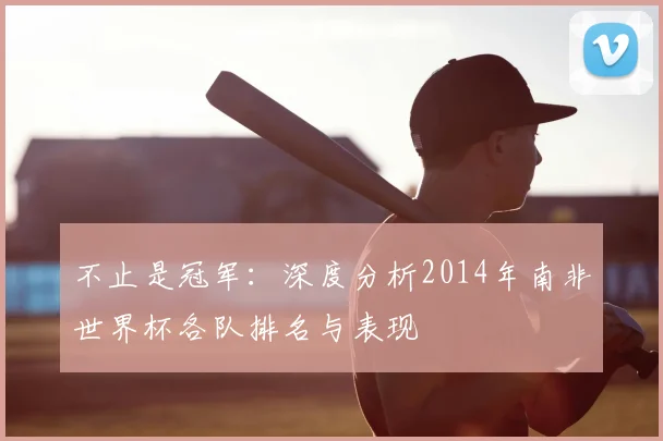 不止是冠军：深度分析2014年南非世界杯各队排名与表现