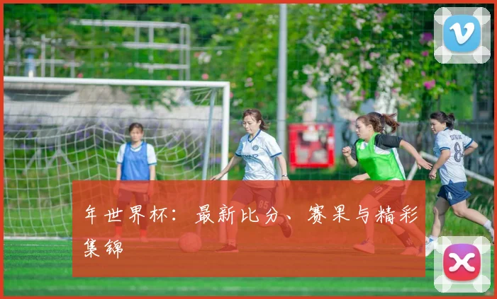 年世界杯：最新比分、赛果与精彩集锦