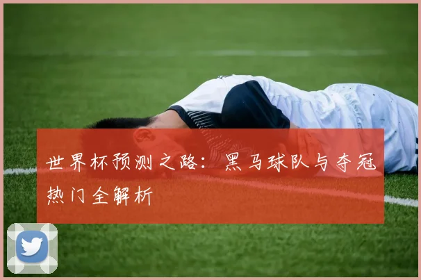 世界杯预测之路：黑马球队与夺冠热门全解析