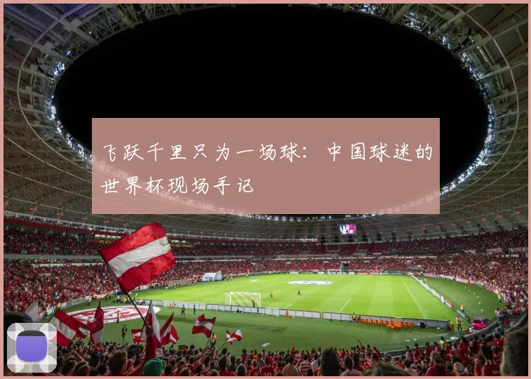 飞跃千里只为一场球：中国球迷的世界杯现场手记