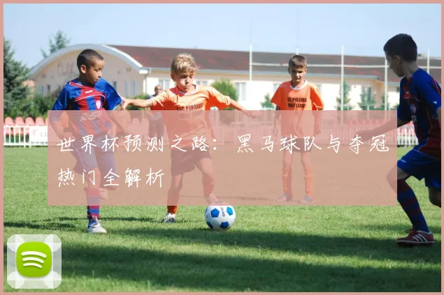 世界杯预测之路：黑马球队与夺冠热门全解析