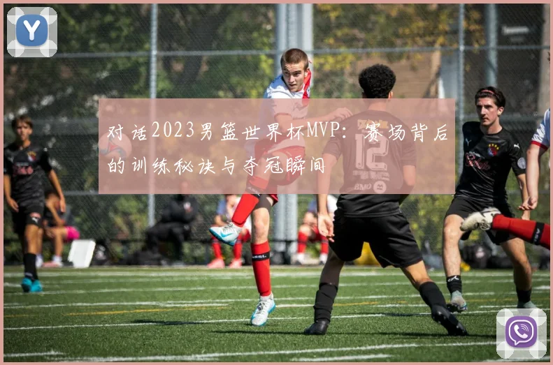 对话2023男篮世界杯MVP：赛场背后的训练秘诀与夺冠瞬间